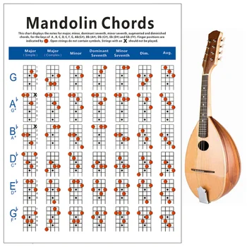 Схема грифа мандолины Общая информация Плакат Схема тренировок Руководство по обучению игре на инструменте Mandolin Small