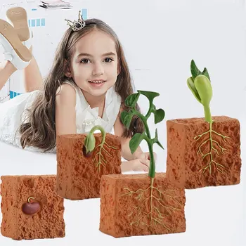 Имитация жизненного цикла зеленой фасоли, цикла роста растений, модели, коллекция фигурок, научные развивающие игрушки для детей