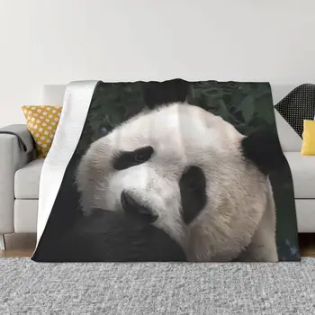 Одеяло Fubao Aibao Panda Fu Bao Теплое Уютное Гипоаллергенное Покрывало для Легкого Ухода За Машиной Home Decor