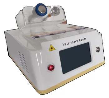 Машина для похудения 980-нм Лазерная машина для лазерной терапии собак Radiofrekans Ablation Varix 30 Mb